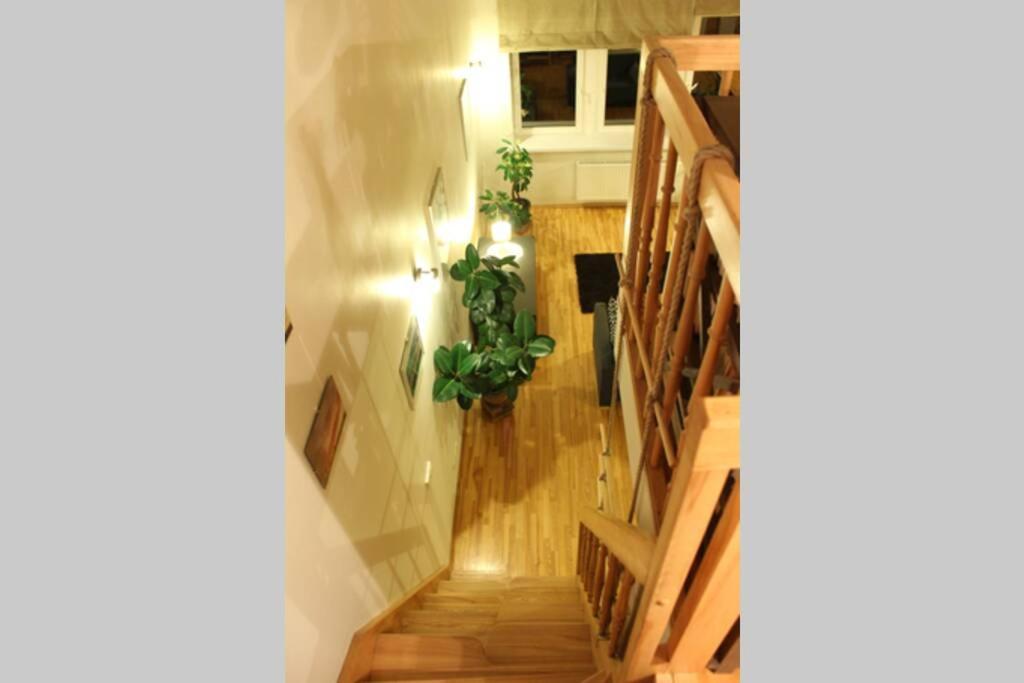 Penthouse Apartment With Great Panoramic City View VNO Exterior photo